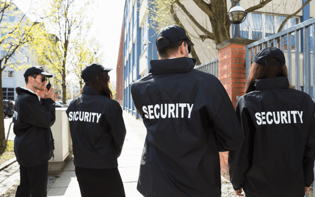 Why Businesses Need Professional Security Services